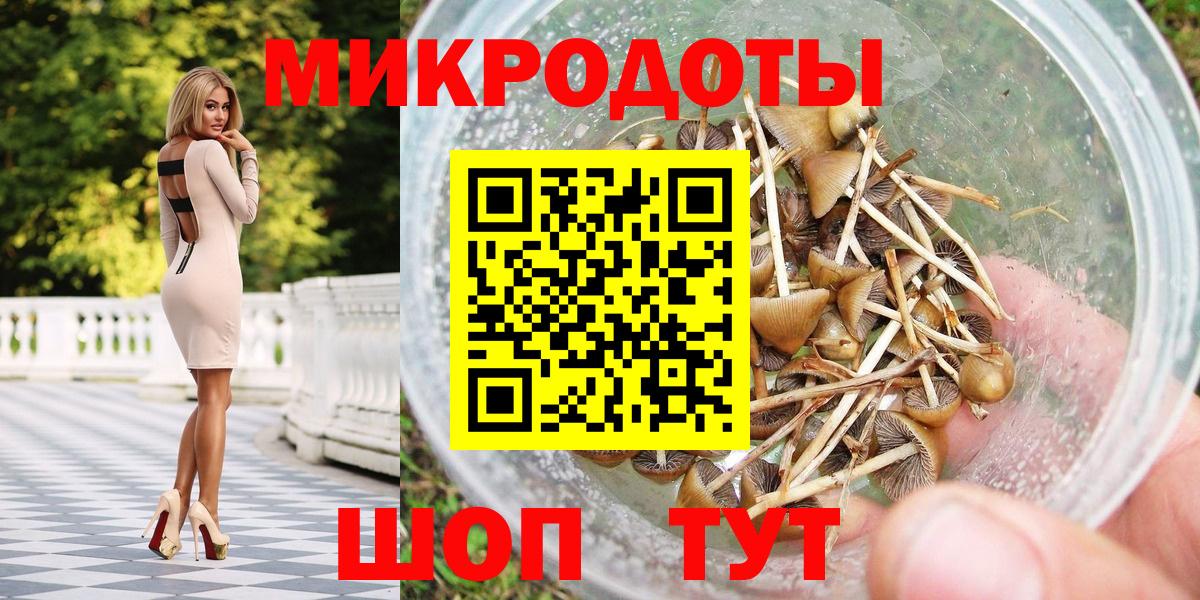 Галлюциногенные грибы Psilocybine cubensis Светлоград