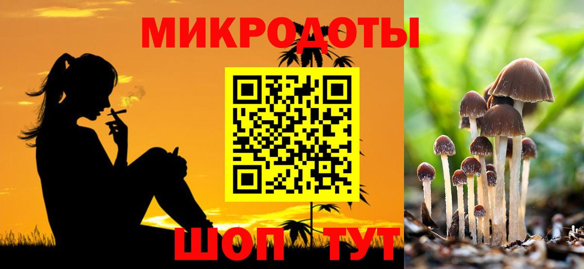 Галлюциногенные грибы Psilocybine cubensis  Галлюциногенные грибы GOLDEN TEACHER  Вход с VPN  Светлоград 